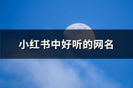 小紅書中好聽的網名(60個)