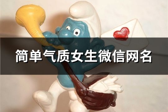 簡單氣質女生微信網名(精選436個)