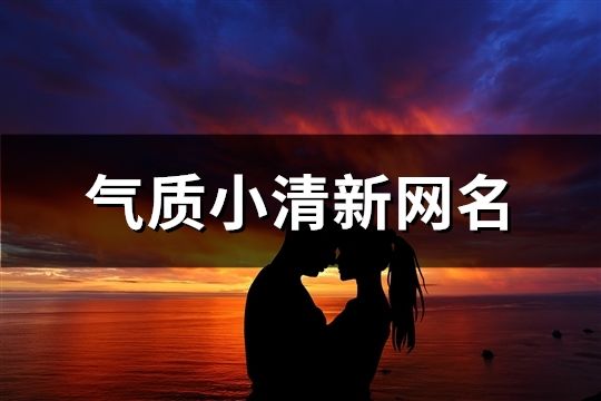 氣質(zhì)小清新網(wǎng)名(388個(gè))