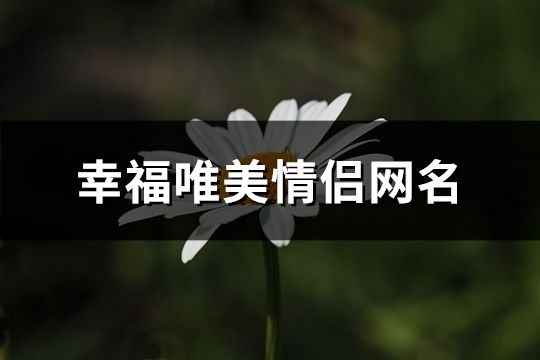 幸福唯美情侶網(wǎng)名(378對(duì))