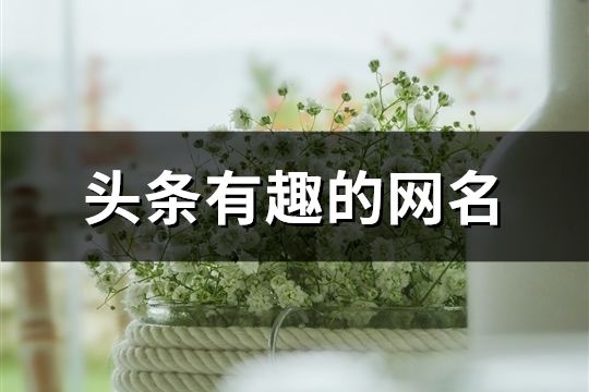 頭條有趣的網名(精選424個)
