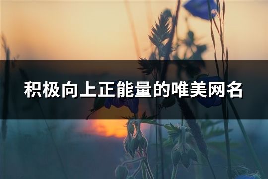 積極向上正能量的唯美網(wǎng)名(共627個(gè))