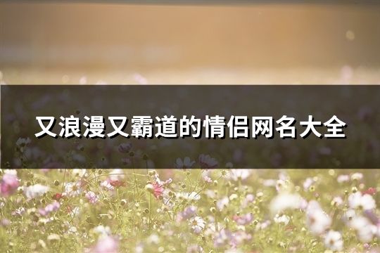 又浪漫又霸道的情侶網名大全(317對)
