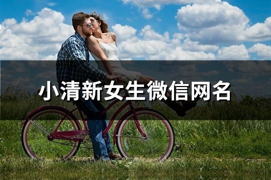 小清新女生微信網名(精選895個)