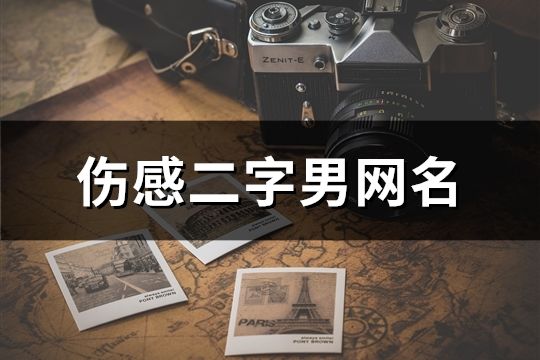 傷感二字男網名(共1147個)