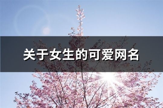 關于女生的可愛網名(共831個)