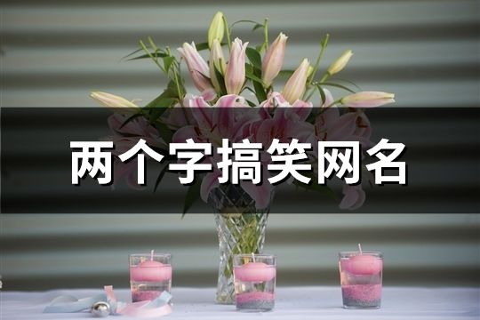兩個字搞笑網名(449個)