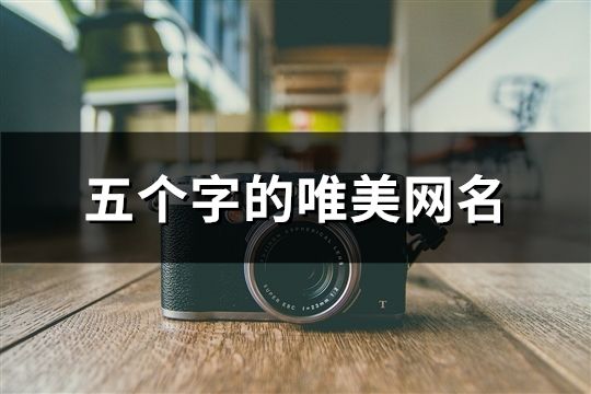 五個字的唯美網名(精選1082個)