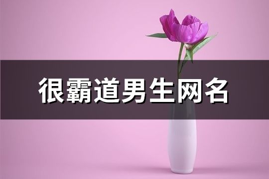 很霸道男生網名(共858個)