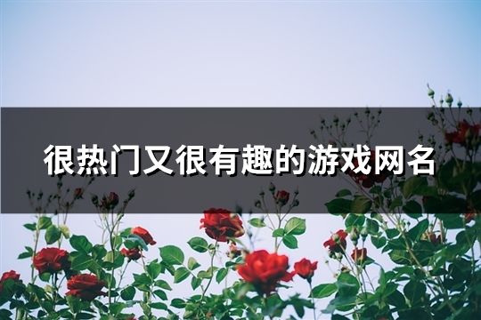 很熱門又很有趣的游戲網名(精選685個)
