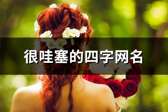 很哇塞的四字網名(共662個)