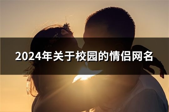 2024年關于校園的情侶網名(共432對)