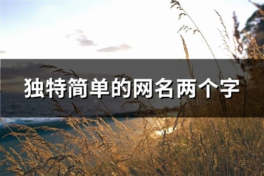 獨特簡單的網名兩個字(58個)