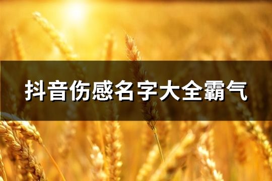 抖音傷感名字大全霸氣(47個)