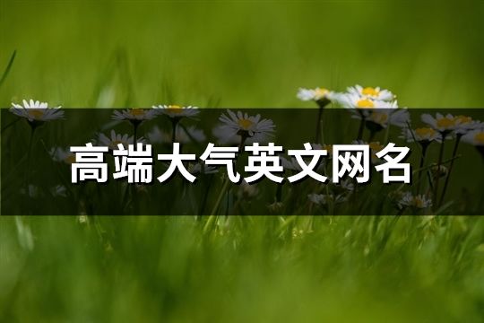 高端大氣英文網名(118個)