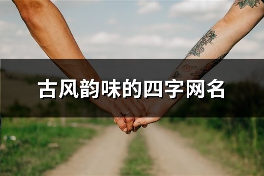 古風韻味的四字網名(共883個)