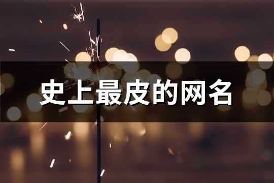 史上最皮的網名(共361個)