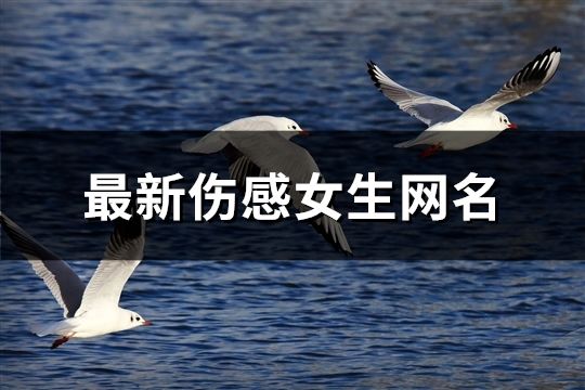 最新傷感女生網(wǎng)名(共897個)