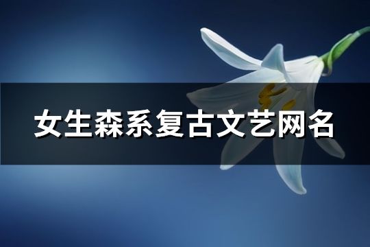 女生森系復古文藝網名(371個)