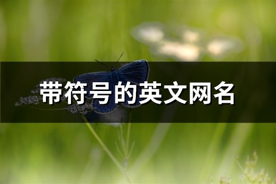 帶符號的英文網名(共144個)