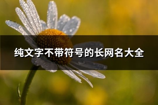 純文字不帶符號的長網名大全(精選287個)
