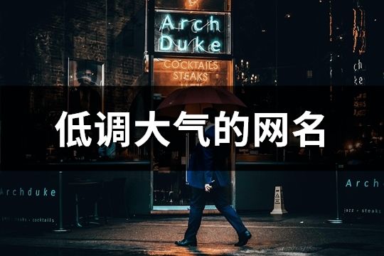 低調大氣的網名(655個)
