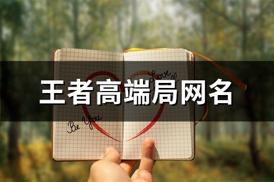 王者高端局網名(精選764個)
