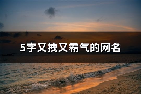 5字又拽又霸氣的網(wǎng)名(共527個)