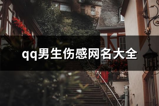 qq男生傷感網名大全(644個)