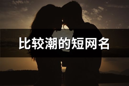 比較潮的短網名(1232個)
