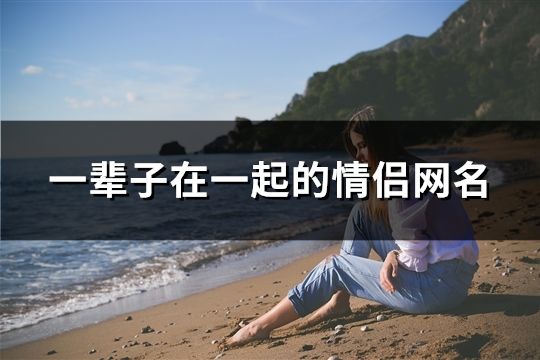 一輩子在一起的情侶網(wǎng)名(580對(duì))