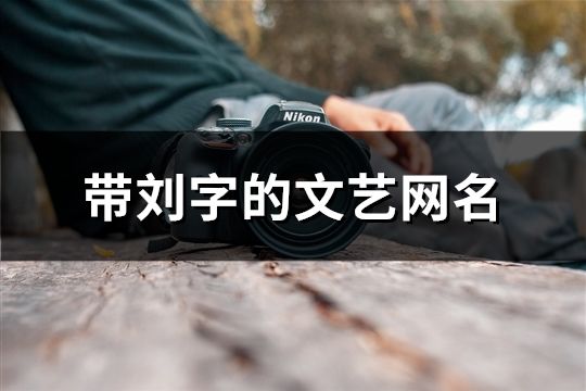 帶劉字的文藝網(wǎng)名(精選208個)