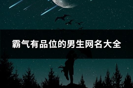 霸氣有品位的男生網名大全(精選464個)