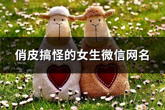 俏皮搞怪的女生微信網名(共660個)