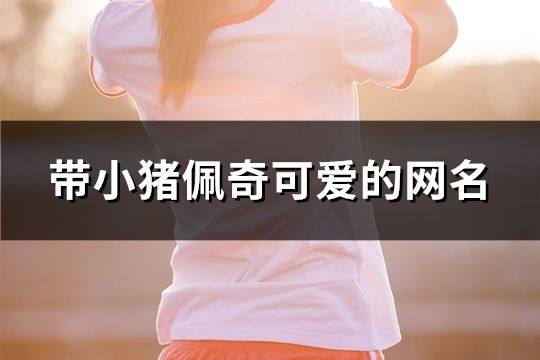 帶小豬佩奇可愛的網名(共149個)