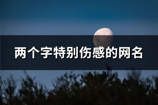 兩個字特別傷感的網名(精選1733個)