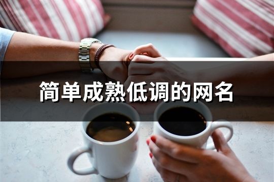 簡單成熟低調的網名(精選802個)