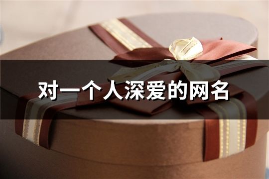 對一個人深愛的網名(663個)