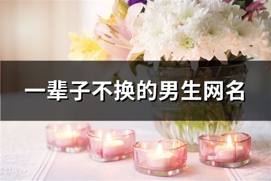 一輩子不換的男生網(wǎng)名(共695個)
