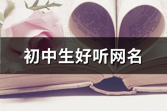 初中生好聽(tīng)網(wǎng)名(共520個(gè))