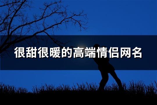 很甜很暖的高端情侶網(wǎng)名(精選63對(duì))