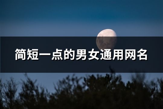 簡短一點的男女通用網名(526個)