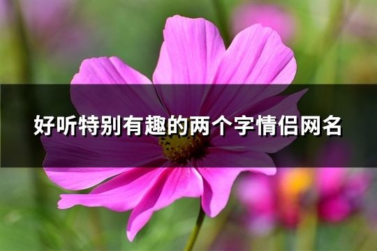 好聽特別有趣的兩個字情侶網名(共545對)