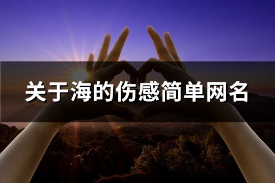 關(guān)于海的傷感簡單網(wǎng)名(共71個(gè))