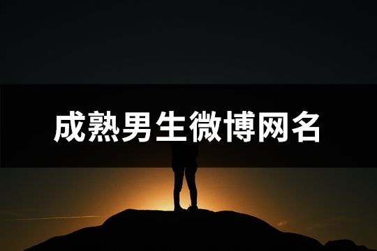 成熟男生微博網名(共162個)