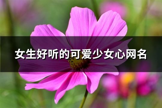 女生好聽的可愛少女心網名(精選606個)