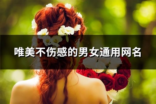 唯美不傷感的男女通用網名(共452個)