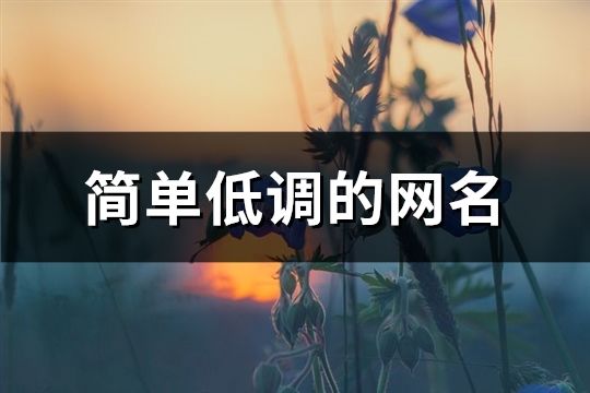 簡單低調(diào)的網(wǎng)名(468個)