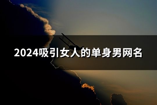 2024吸引女人的單身男網名(共1039個)