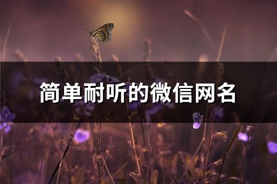 簡單耐聽的微信網名(共1676個)